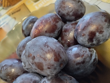 Фотография из личного архива автора