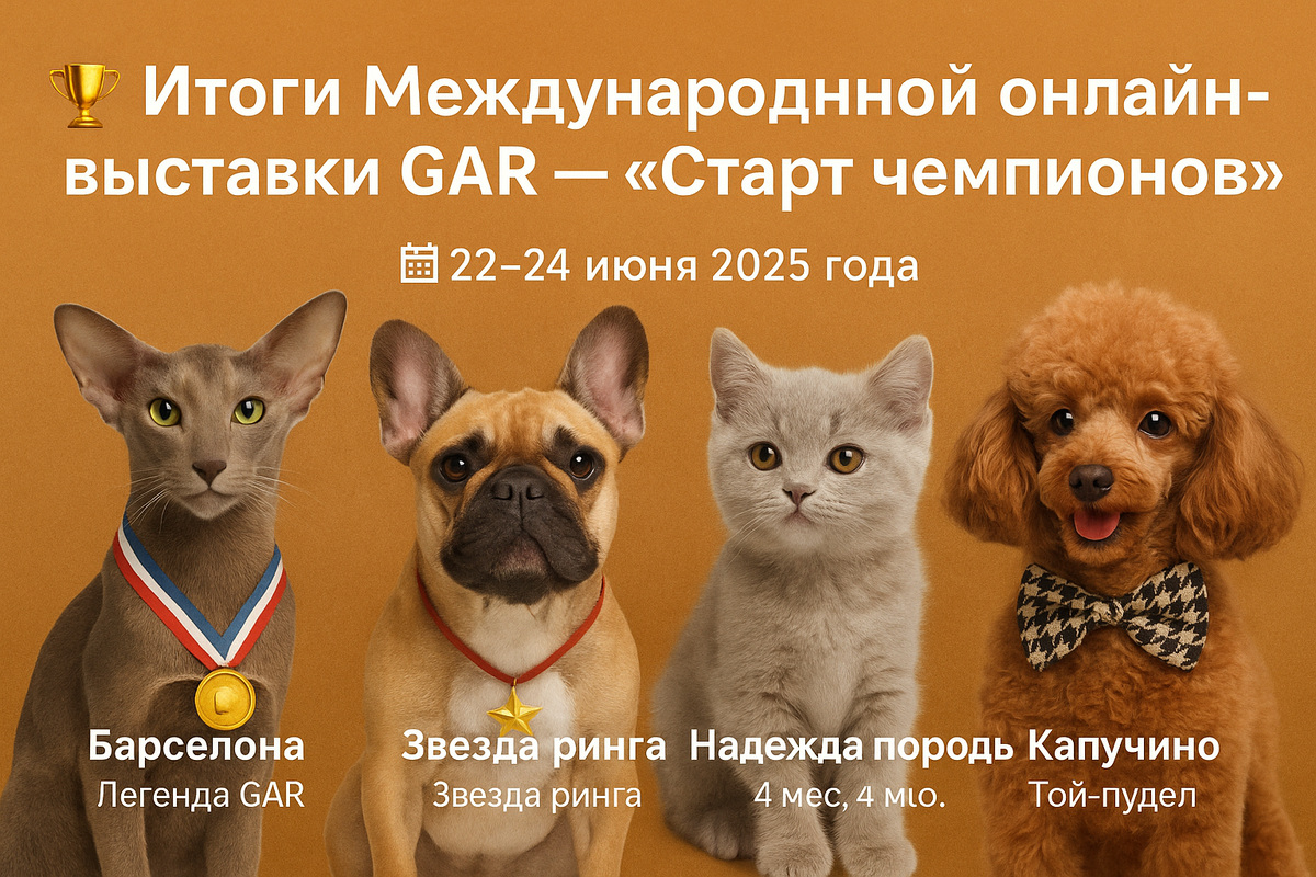 GAR — это не просто конкурс. Это место, где ценят чувства, преданность и индивидуальность. Где можно быть собой — и победить.