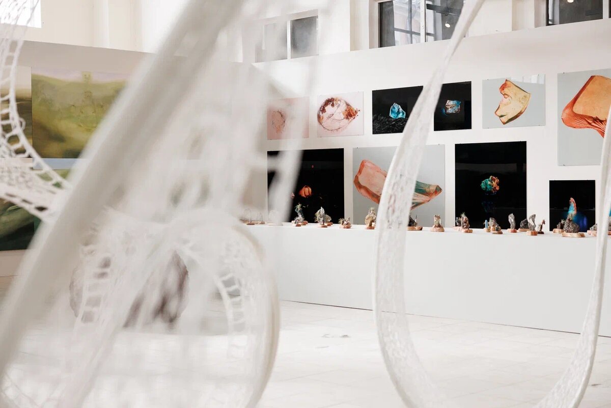 Проект «Кожа Земли» в здании Мытного рынка