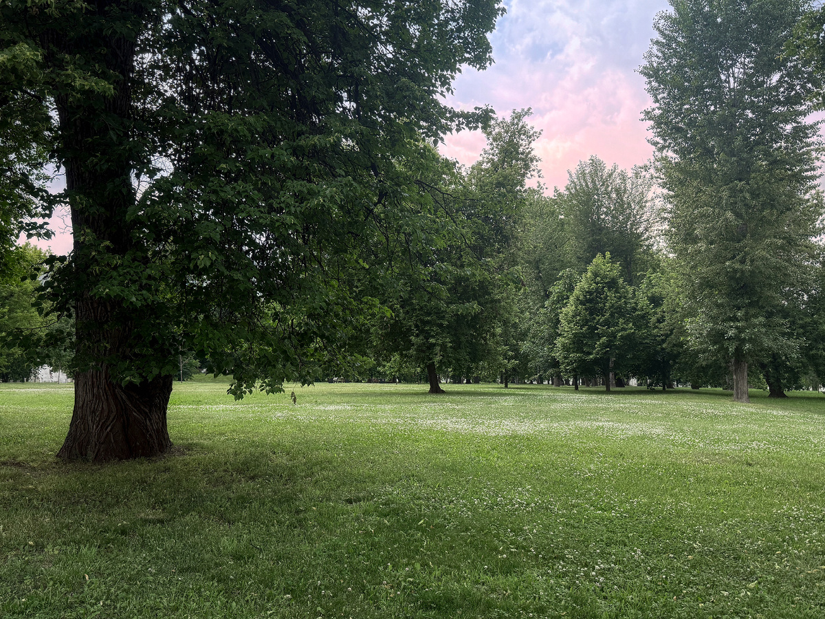 Небольшой летний пейзаж