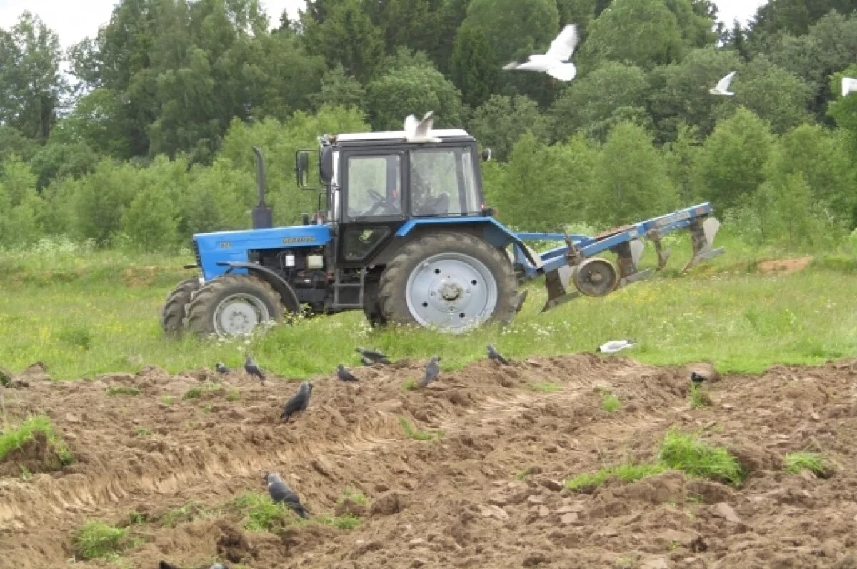    Уже выделены средства для компенсации потерь курскому бизнесу от ВСУ