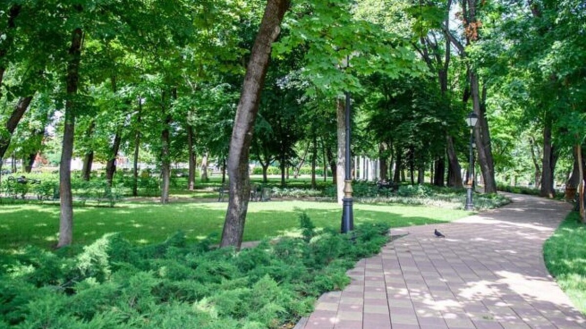    Фото: пресс-служба администрации Краснодара