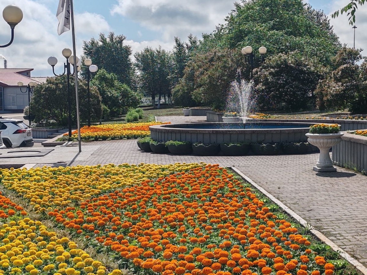 Фото: пресс-служба БрАЗа