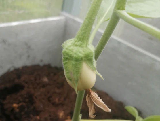 Фото:Оксана Котова