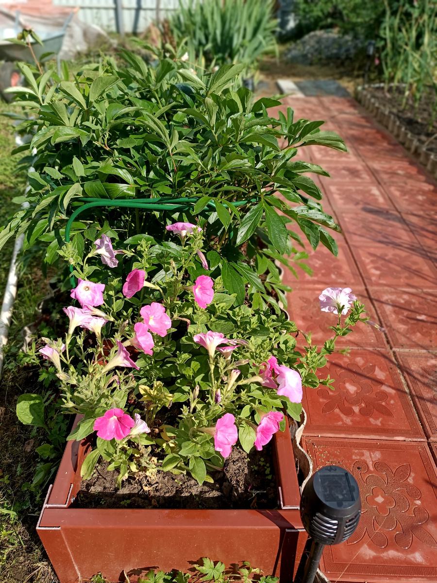 Начало положено!