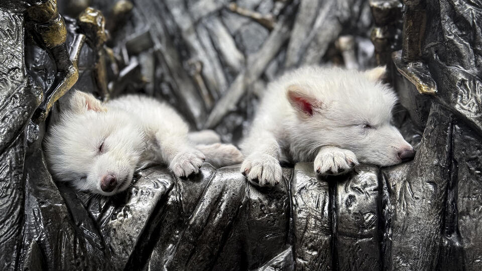 Фото: © Zuma/TASS