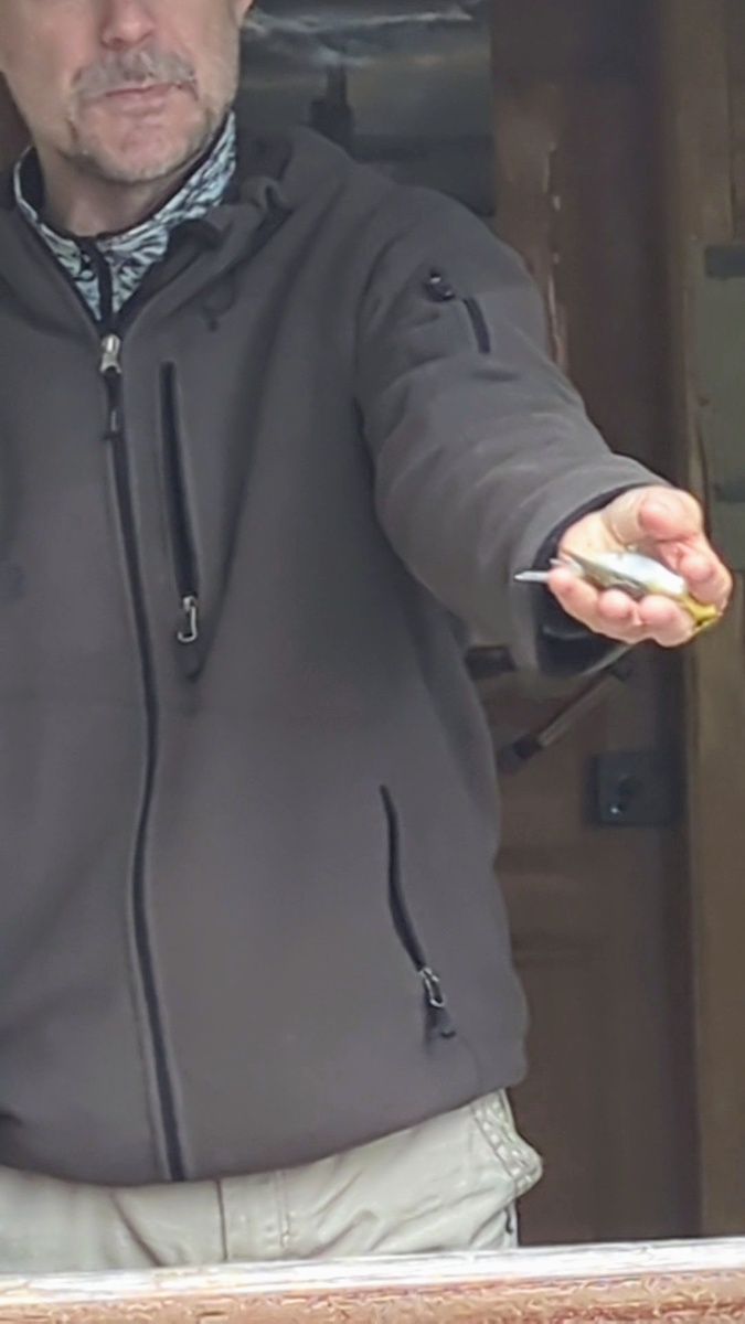 Орнитолог показывает птичку, которую скоро окольцуют. Фото: дзен-канал История одного ремонта и что было после.