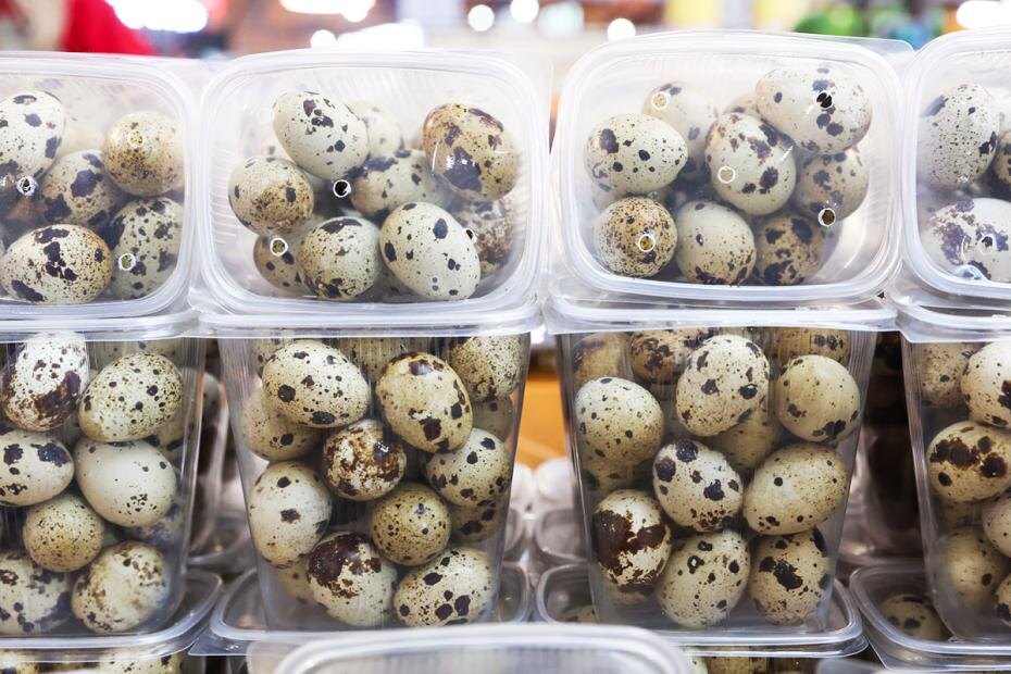    Сергей Петров/NEWS.ru