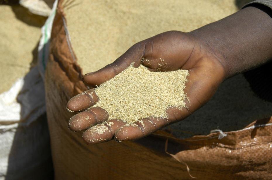    Stefan Auth/Global Look Press