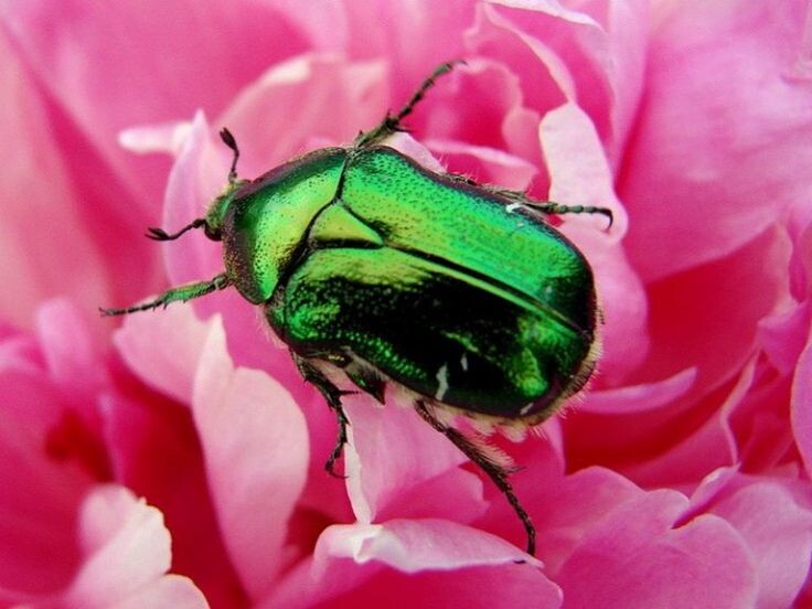 Листайте галлерею.