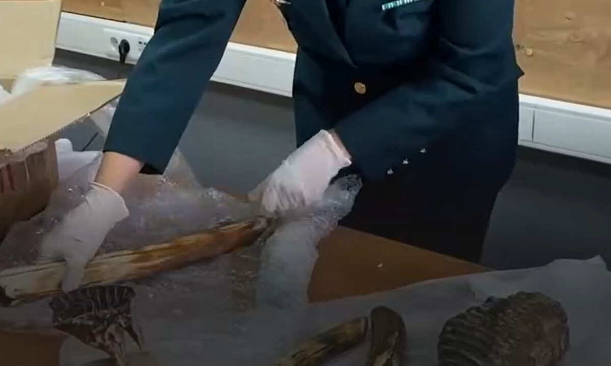    Фото t.me/customs_rf