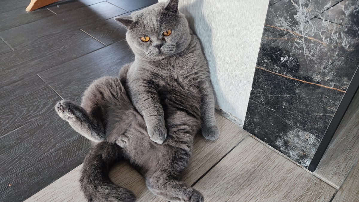 Одно из любимых мест Мартина