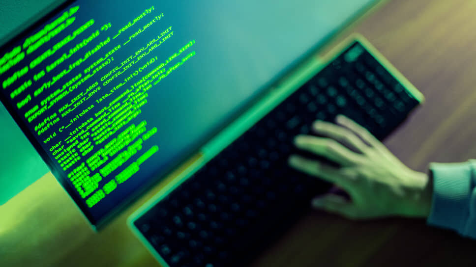 Фото: Олег Харсеев / Коммерсантъ