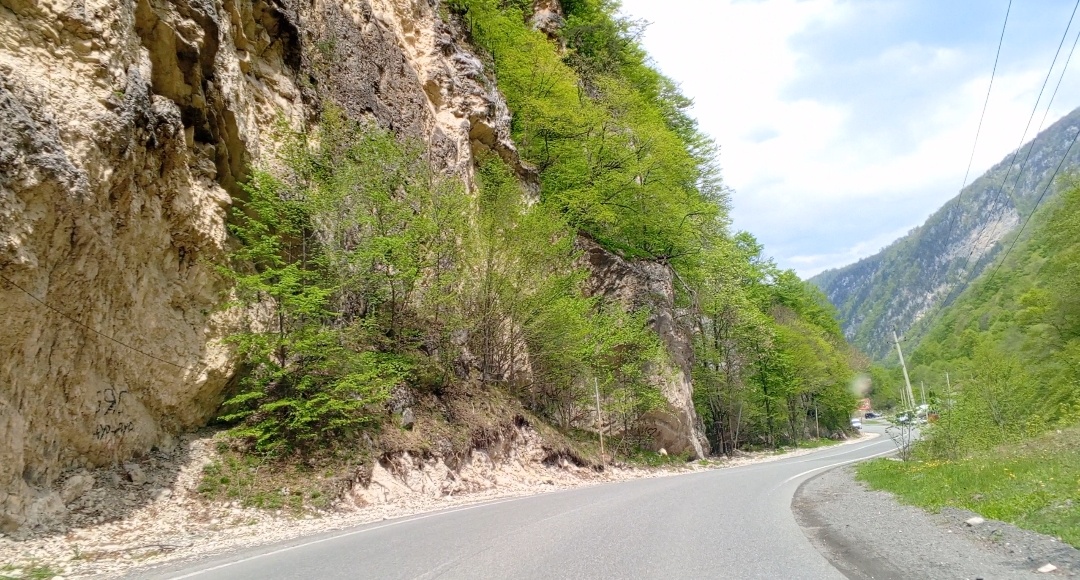 Фото авторов