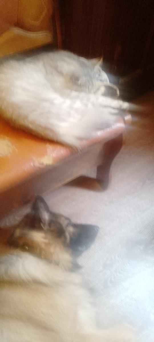 Нюра с Тишей