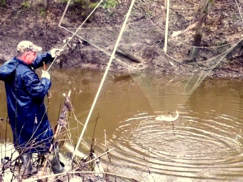 Запрещённый "паук". Не метр на метр