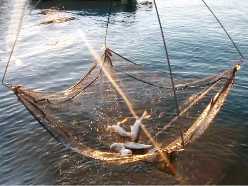 Крупняк пошёл!