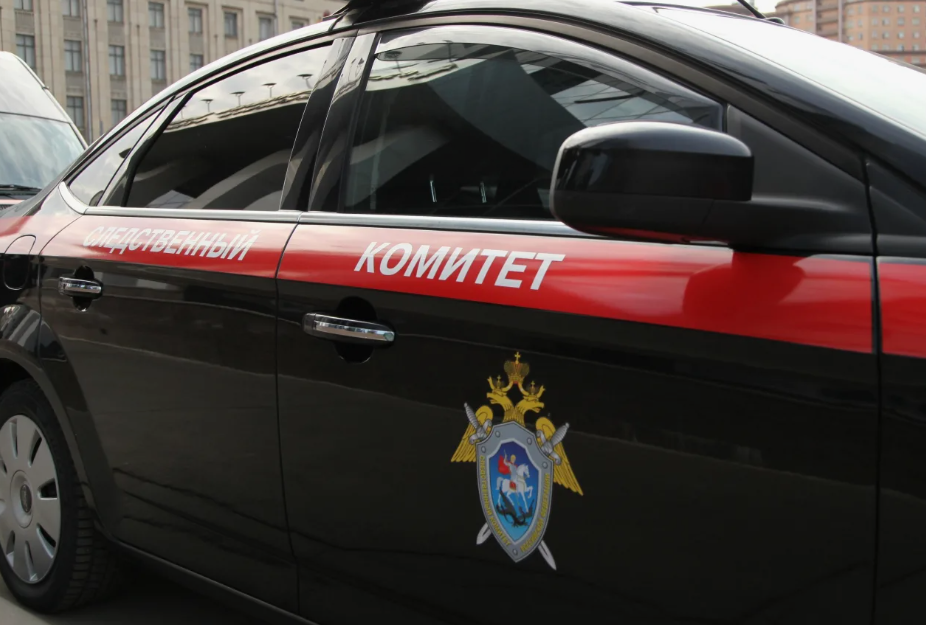 Фото носит иллюстративный характер: открытые источники