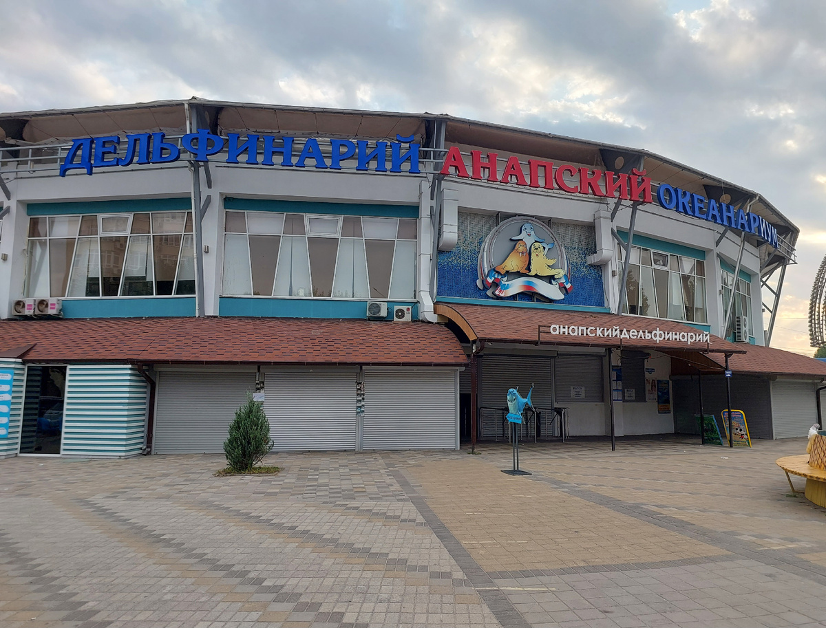 Анапский дельфинарий на Пионерском проспекте — главная сцена для шоу с дельфинами, морскими котиками и белухами.