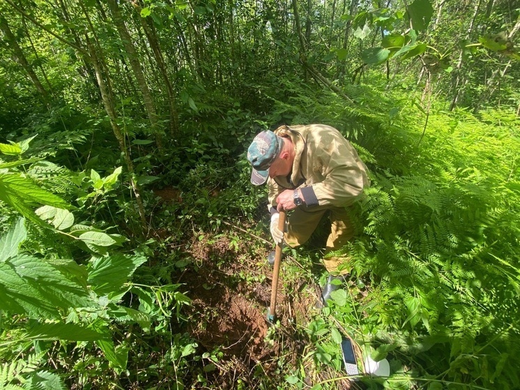     Общая численность учтённых геодезических пунктов на территории области составляет 1024 единицы. Фото: правление Росреестра по Новгородской области.