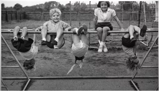 Фото из сети интернет