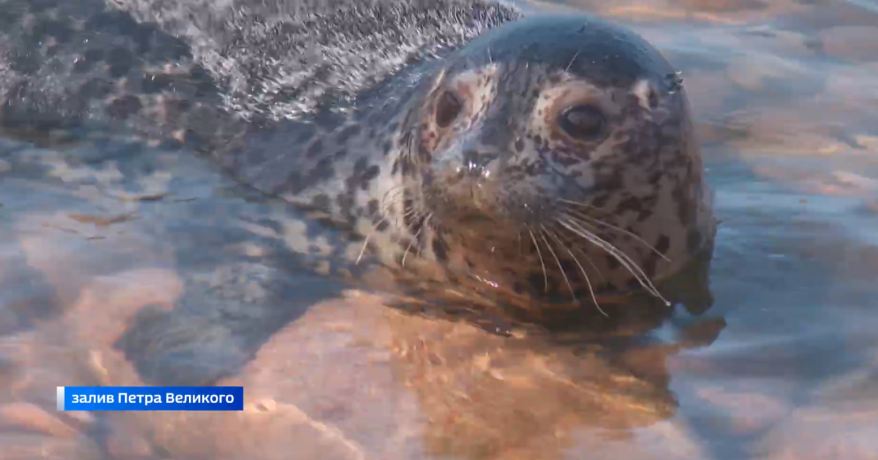    Источник фото: