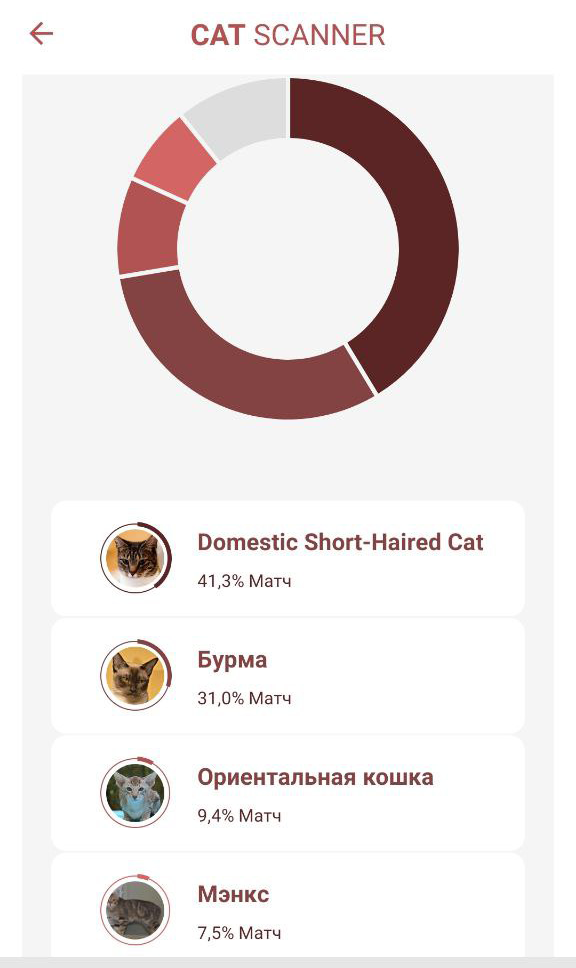 Еще и бурма там пробегала