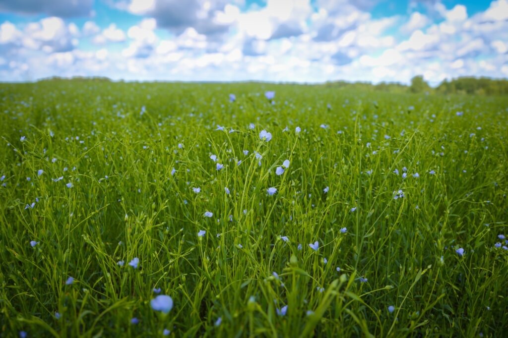    t.me/anohin67 Юля Баранова