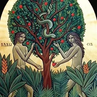 Фото из открытого источника Интернета