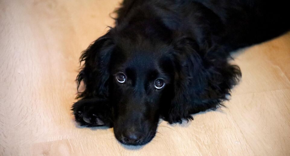    Elena Mayorova/Global Look Press / www.globallookpress.com