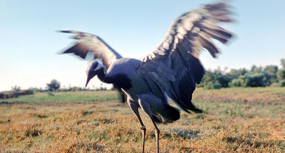    Boris Mashkov/Russian Look / www.globallookpress.com