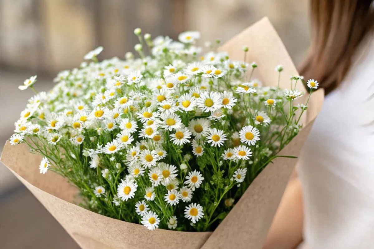   Фото: Azalianow.ru