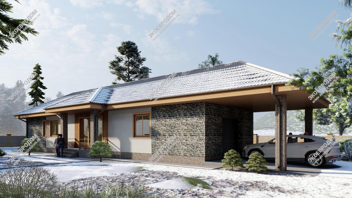 Проект "Форест"