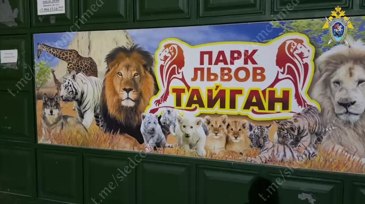    Фото: кадр видео СУ СК РФ по Крыму