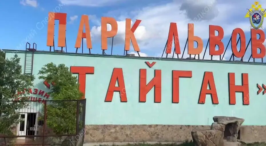    Фото: скриншот из видео пресс-службы ГСУ СК России по Крыму и Севастополю.