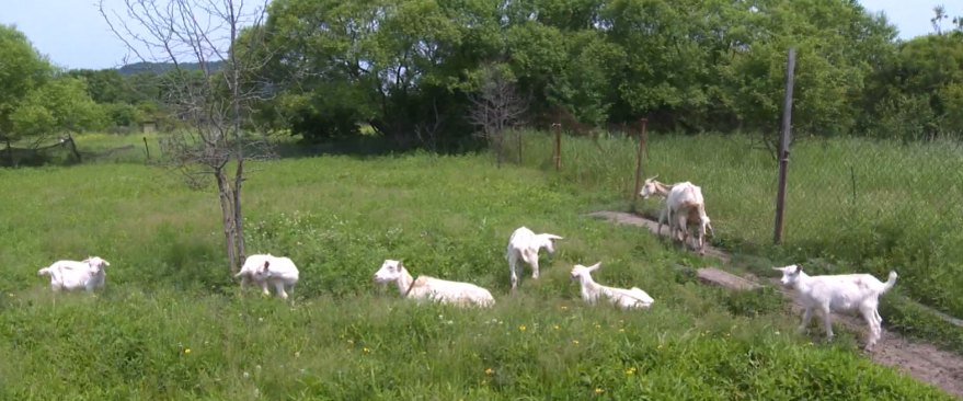    Источник фото: