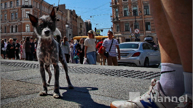 Фото: Анастасия Илюшина/47channel, архив