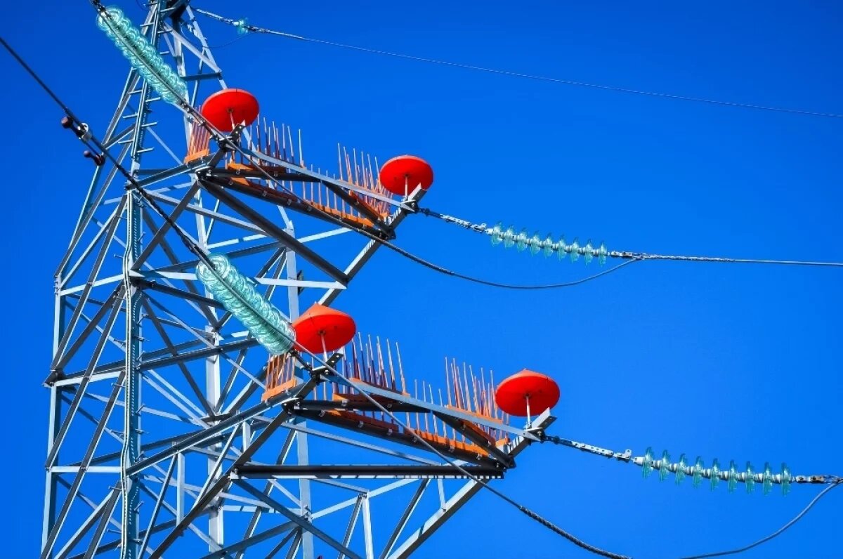    Энергетики установили на ЛЭП Ставрополья более 420 птицезащитных устройств