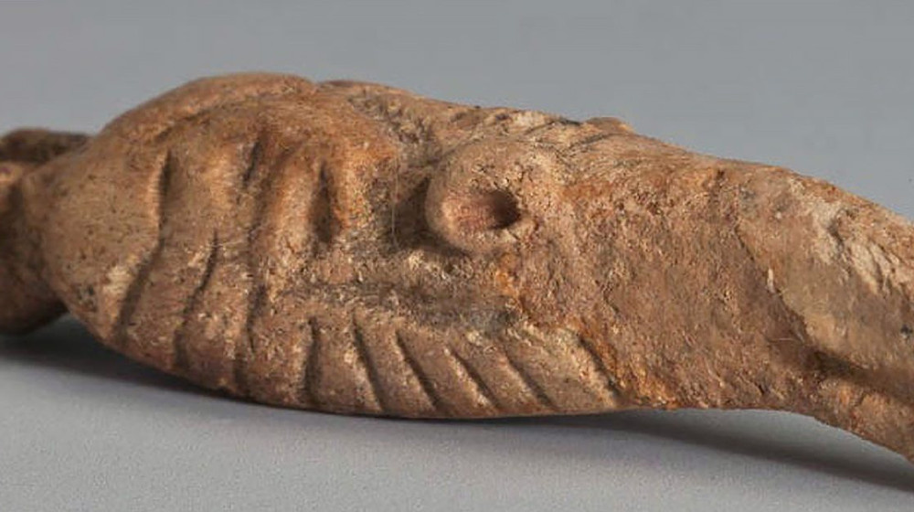    Тайна человека из Гроболла идеальная мумия железного века скрывает шокирующие секреты