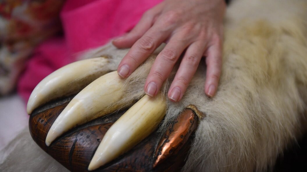    Komsomolskaya Pravda/Global Look Press