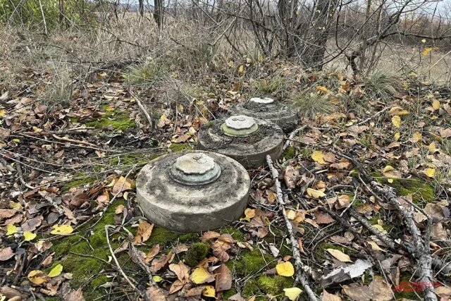    Что такое Оттавская конвенция?