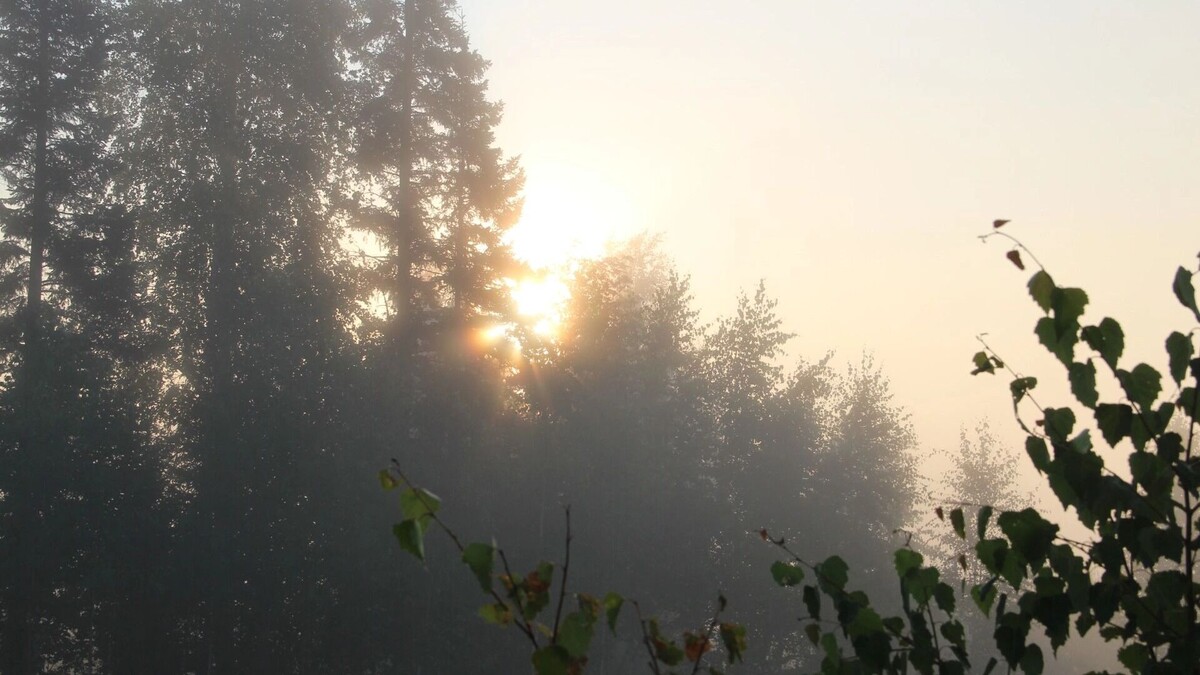     Источник: 1MI