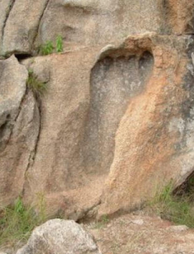 Огромный след. (Источник: www.ufostation.net).