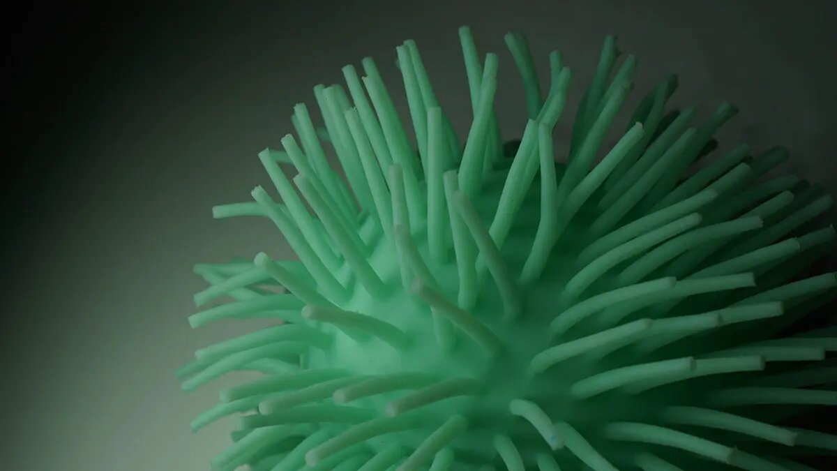    Фото: vm.ru Олеся Шмелева