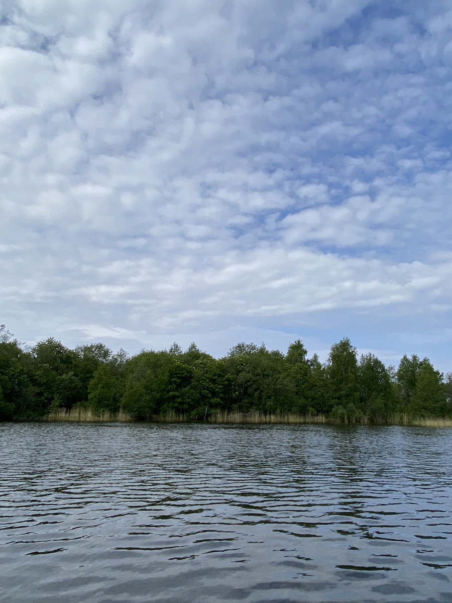 Растительность на соседних островах