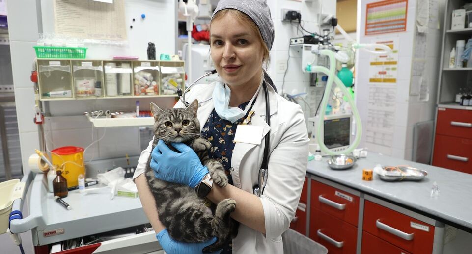    Artem Sobolev/news.ru / www.globallookpress.com