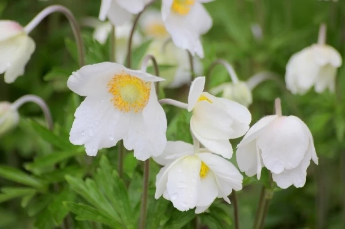    В Туле 27 июня ожидается пятибалльная магнитная буря