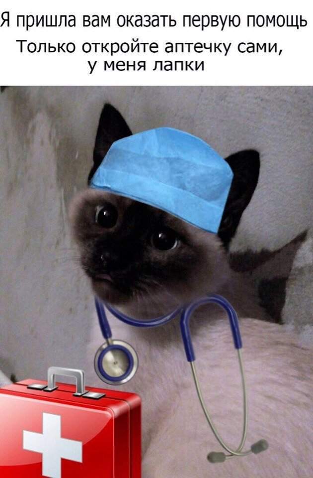 Кошечка-медсестра очень трогательна!