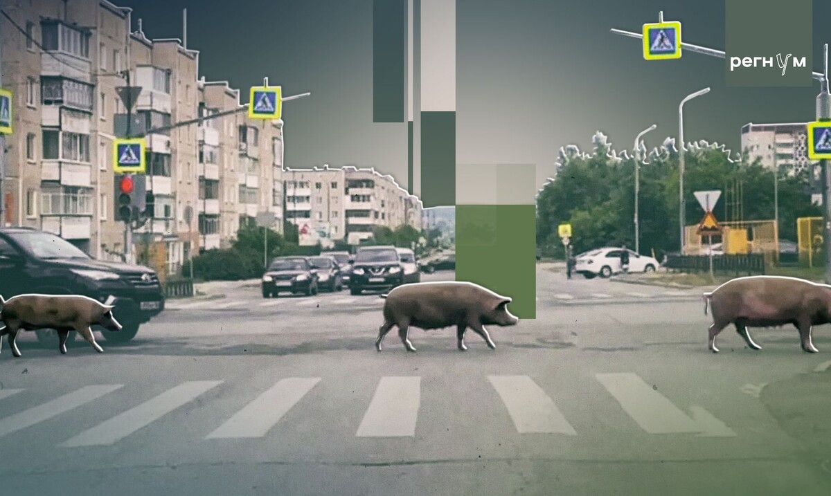     / Источник: Иван Шилов (с) ИА Регнум