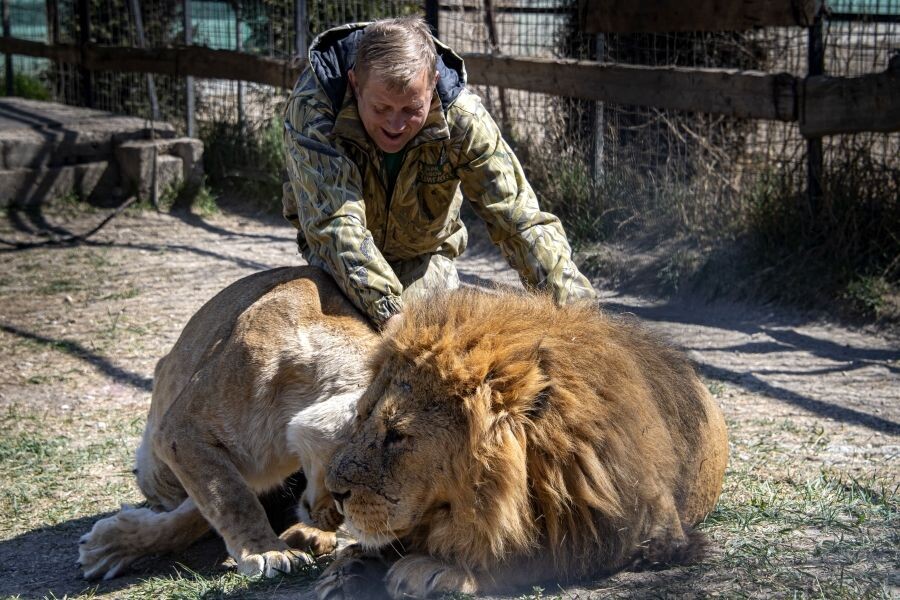     / Источник: © Дмитрий Макеев/РИА Новости